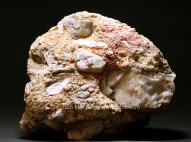 Poorly Sorted Conglomerate