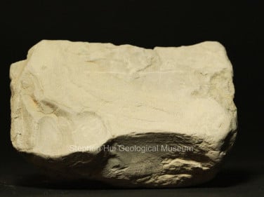 Siltstone – Deposited in slowly moving currents