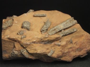 Scapolite