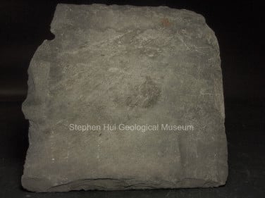 Slate