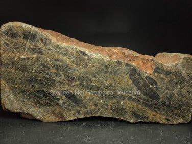 Staurolite schist