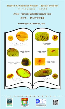 The Stephen Hui Geological Museum is now showcasing a special exhibition on: “Amber – Gem and Scientific Treasure Trove”