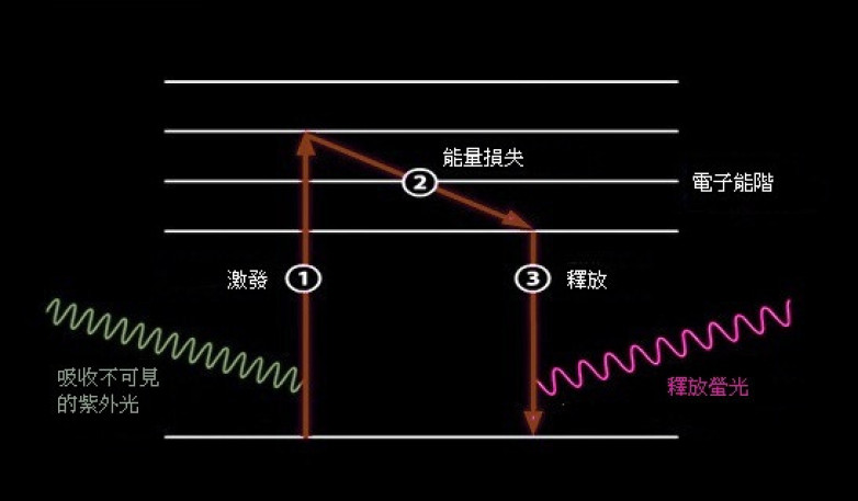 過程