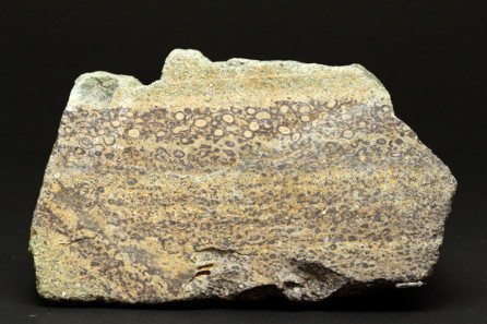 Pyroclastic Rocks | Stephen Hui Geological Museum